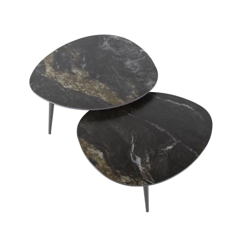 fossil 1